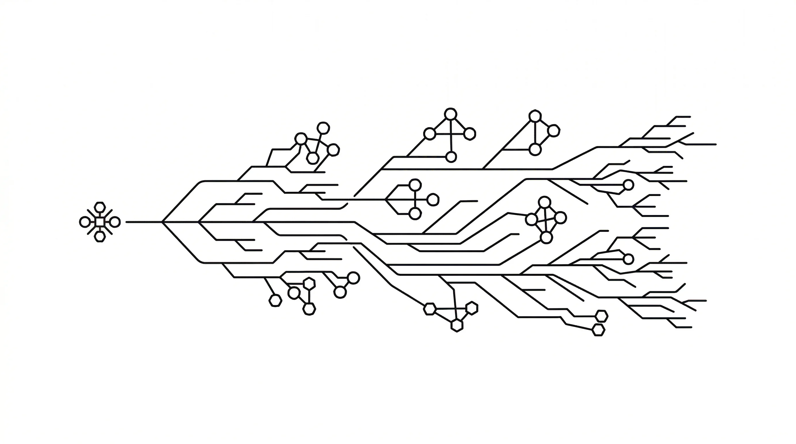 Branching geometric pathways flowing from a single origin point across a structured network