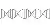 A wide minimalist black and white line drawing of a DNA double helix stretching horizontally across the frame like a fixed baseline.