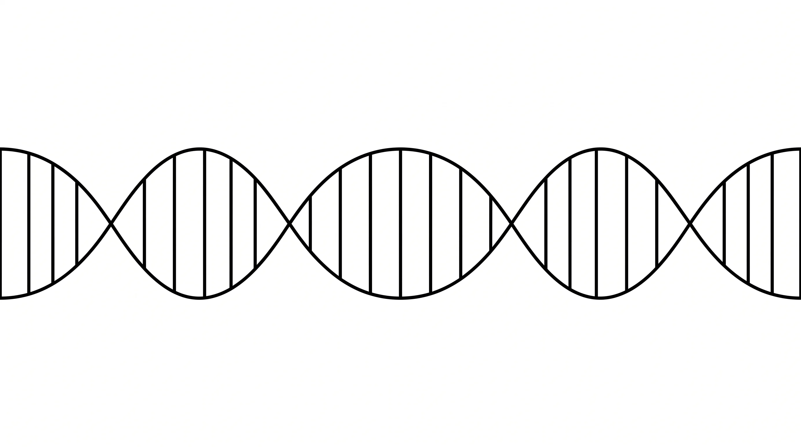 A wide minimalist black and white line drawing of a DNA double helix stretching horizontally across the frame like a fixed baseline.